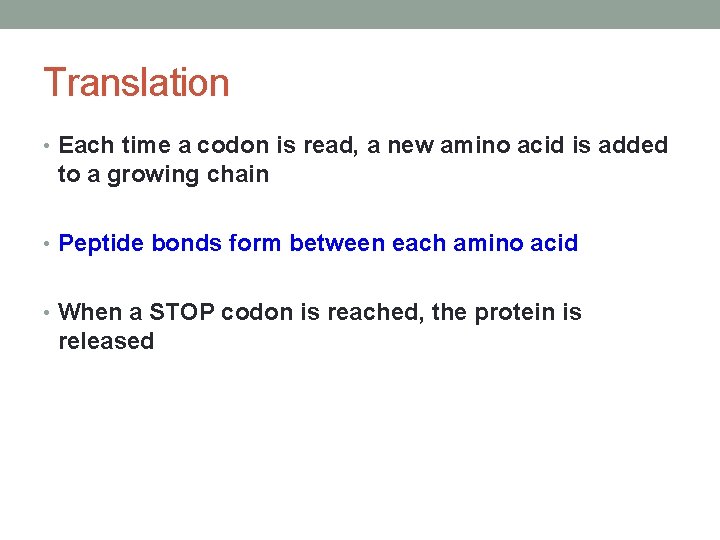 Translation • Each time a codon is read, a new amino acid is added