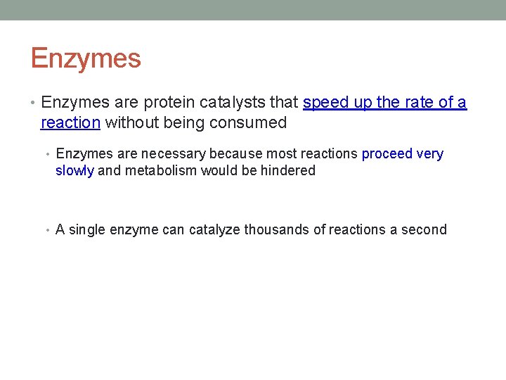 Enzymes • Enzymes are protein catalysts that speed up the rate of a reaction