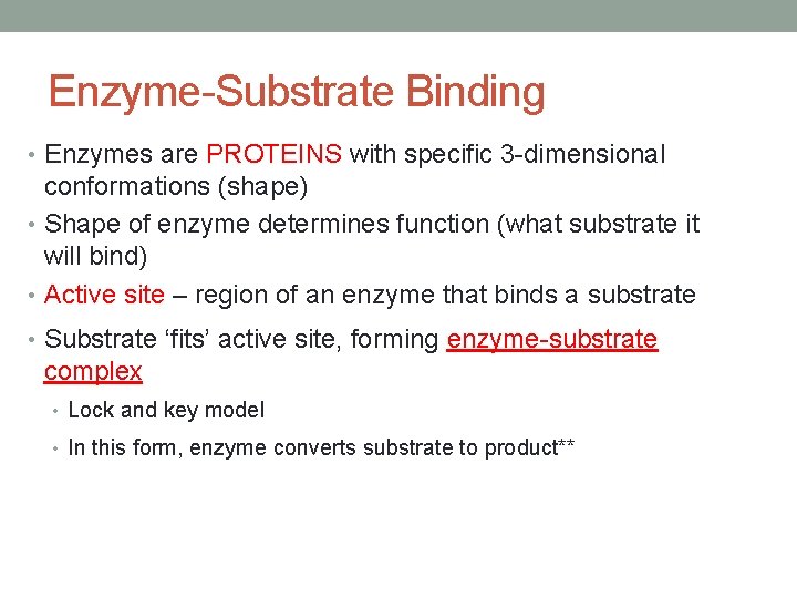 Enzyme-Substrate Binding • Enzymes are PROTEINS with specific 3 -dimensional conformations (shape) • Shape