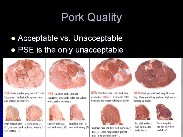 Pork Quality Acceptable vs. Unacceptable l PSE is the only unacceptable l 