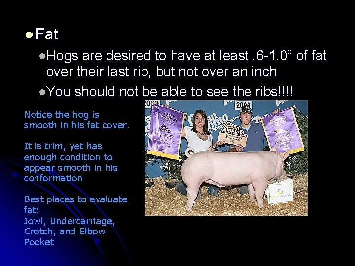 l Fat l. Hogs are desired to have at least. 6 -1. 0” of