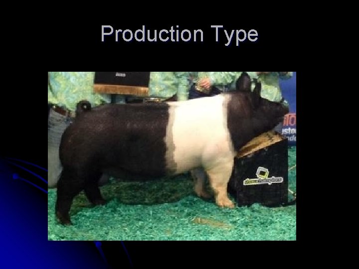 Production Type 