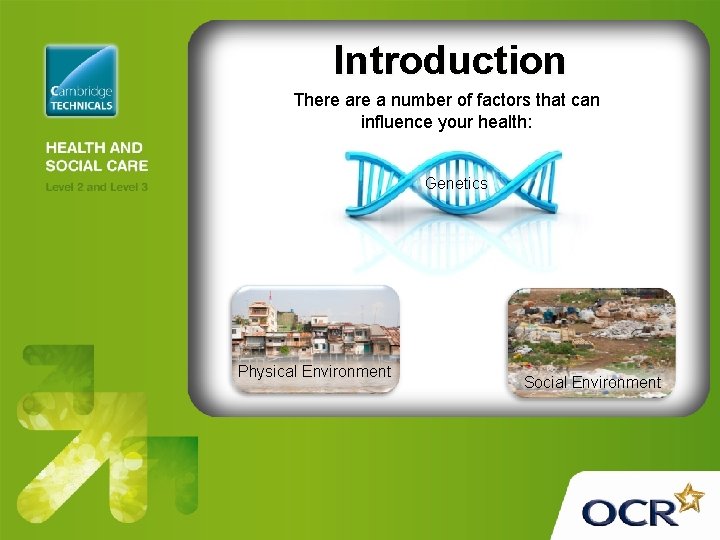 Introduction There a number of factors that can influence your health: Genetics Physical Environment