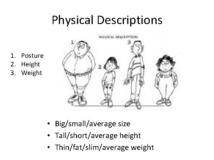 Physical Descriptions 1. Posture 2. Height 3. Weight • Big/small/average size • Tall/short/average height