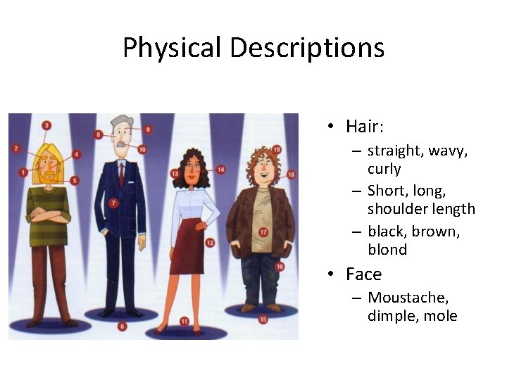 Physical Descriptions • Hair: – straight, wavy, curly – Short, long, shoulder length –