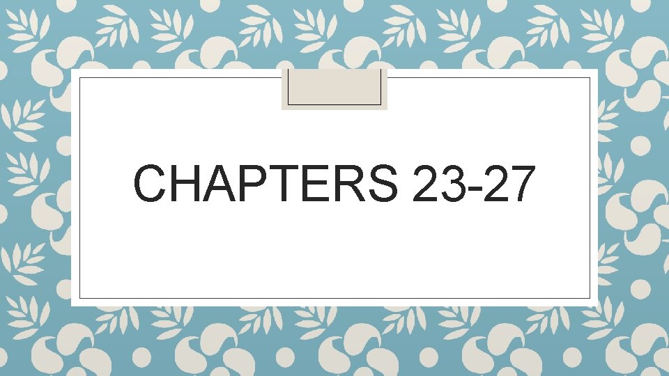 CHAPTERS 23 -27 