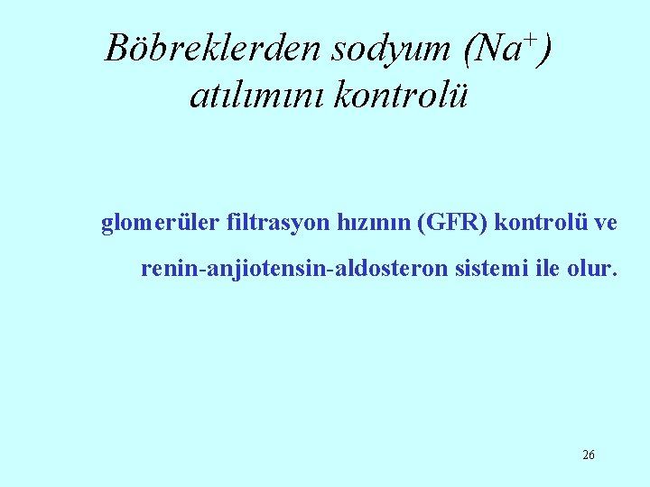 Böbreklerden sodyum (Na+) atılımını kontrolü glomerüler filtrasyon hızının (GFR) kontrolü ve renin-anjiotensin-aldosteron sistemi ile