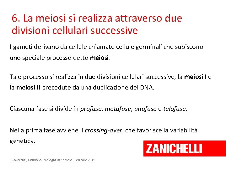 6. La meiosi si realizza attraverso due divisioni cellulari successive I gameti derivano da