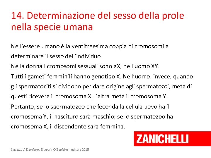 14. Determinazione del sesso della prole nella specie umana Nell’essere umano è la ventitreesima