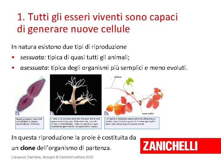 1. Tutti gli esseri viventi sono capaci di generare nuove cellule In natura esistono