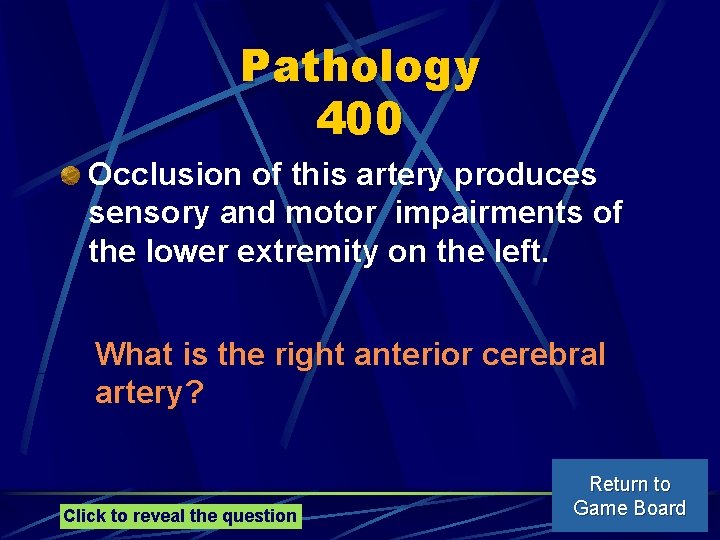 Pathology 400 Occlusion of this artery produces sensory and motor impairments of the lower