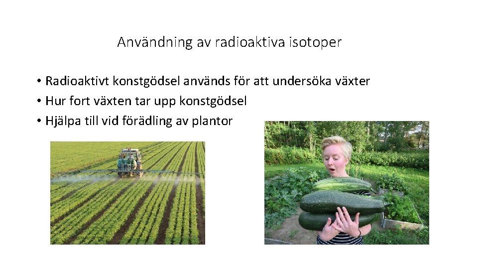 Användning av radioaktiva isotoper • Radioaktivt konstgödsel används för att undersöka växter • Hur