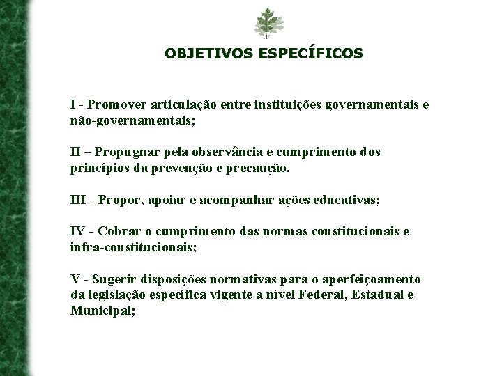 OBJETIVOS ESPECÍFICOS I - Promover articulação entre instituições governamentais e não-governamentais; II – Propugnar