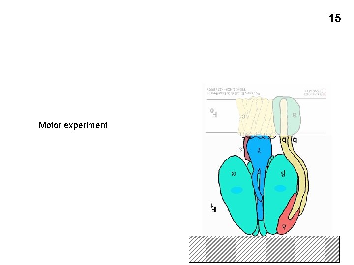 15 Motor experiment 