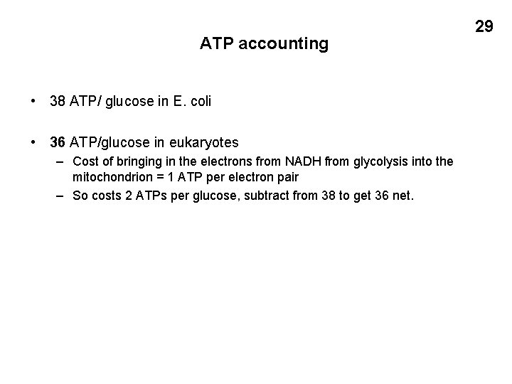 ATP accounting • 38 ATP/ glucose in E. coli • 36 ATP/glucose in eukaryotes