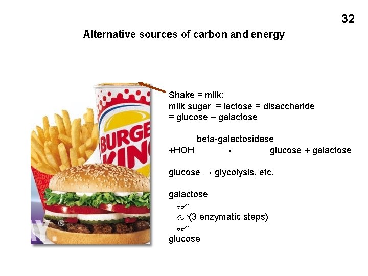 32 Alternative sources of carbon and energy Shake = milk: milk sugar = lactose