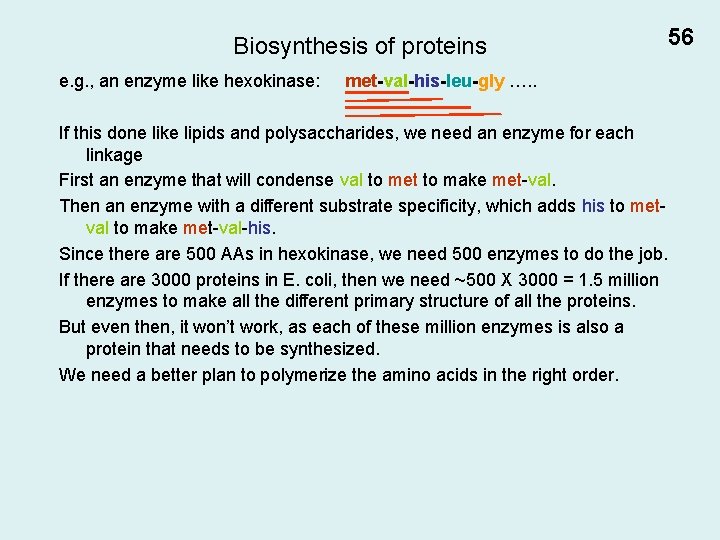 Biosynthesis of proteins e. g. , an enzyme like hexokinase: met-val-his-leu-gly …. . If