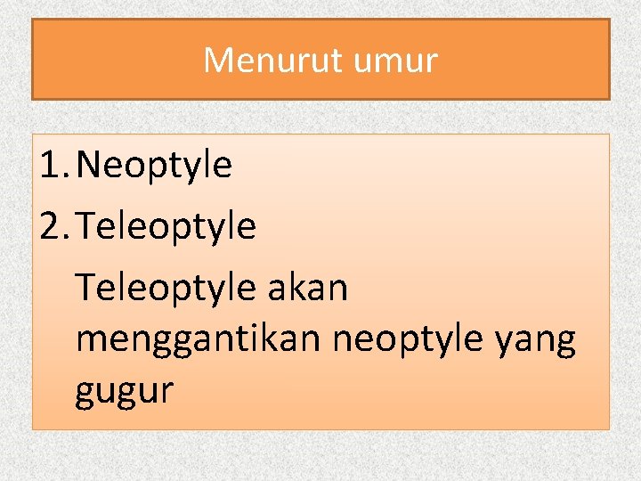Menurut umur 1. Neoptyle 2. Teleoptyle akan menggantikan neoptyle yang gugur 