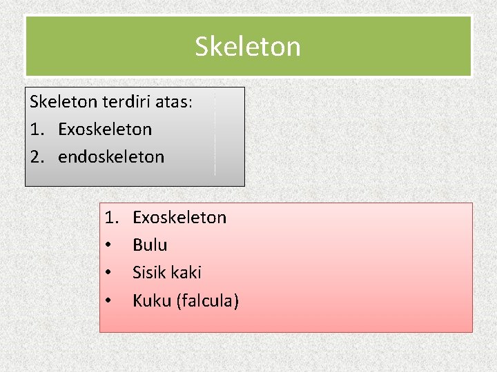 Skeleton terdiri atas: 1. Exoskeleton 2. endoskeleton 1. • • • Exoskeleton Bulu Sisik