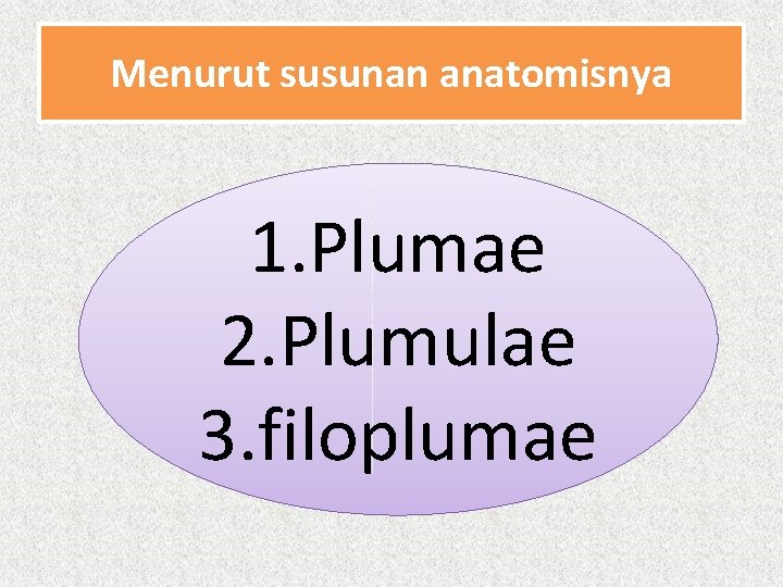Menurut susunan anatomisnya 1. Plumae 2. Plumulae 3. filoplumae 