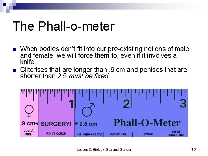 The Phall-o-meter n n When bodies don’t fit into our pre-existing notions of male