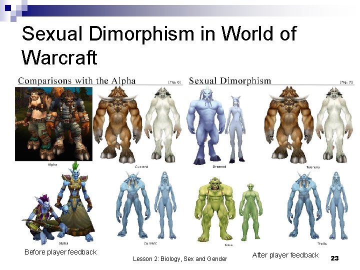 Sexual Dimorphism in World of Warcraft Before player feedback Lesson 2: Biology, Sex and