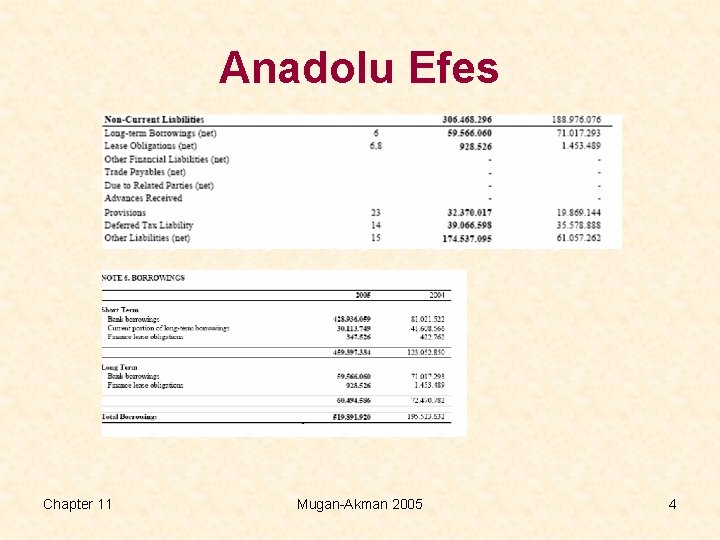 Anadolu Efes Chapter 11 Mugan-Akman 2005 4 