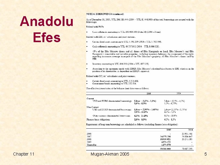 Anadolu Efes Chapter 11 Mugan-Akman 2005 5 