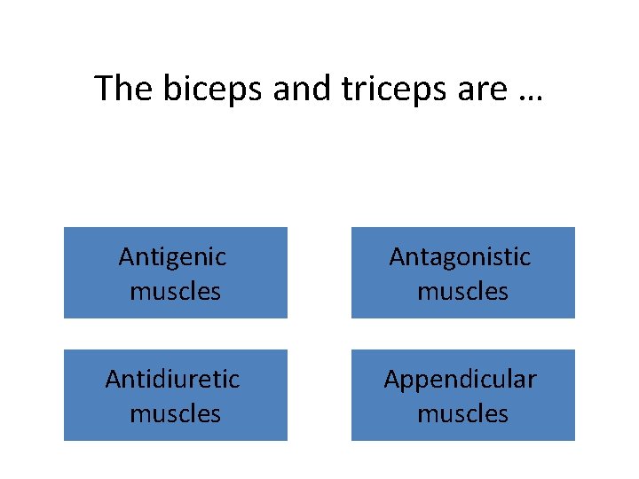 The biceps and triceps are … Antigenic muscles Antagonistic muscles Antidiuretic muscles Appendicular muscles