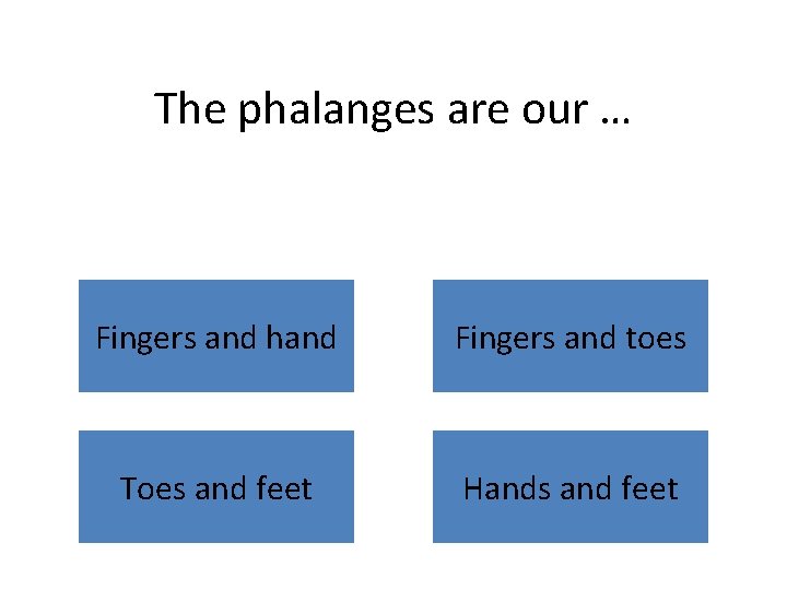 The phalanges are our … Fingers and hand Fingers and toes Toes and feet