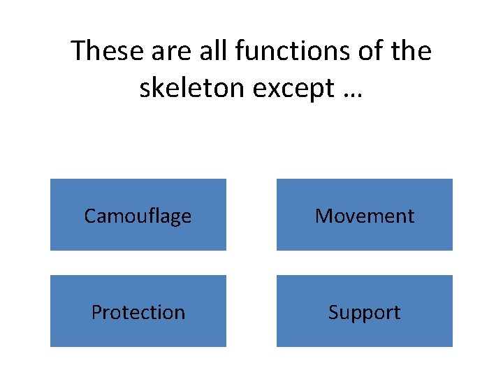 These are all functions of the skeleton except … Camouflage Movement Protection Support 