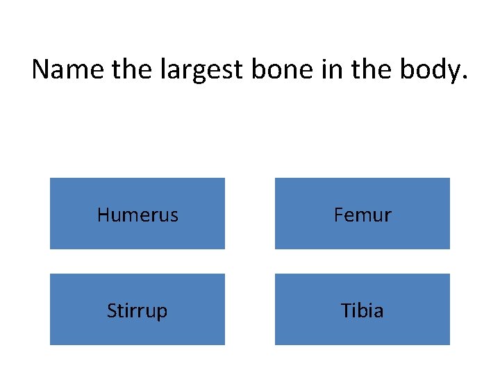 Name the largest bone in the body. Humerus Femur Stirrup Tibia 