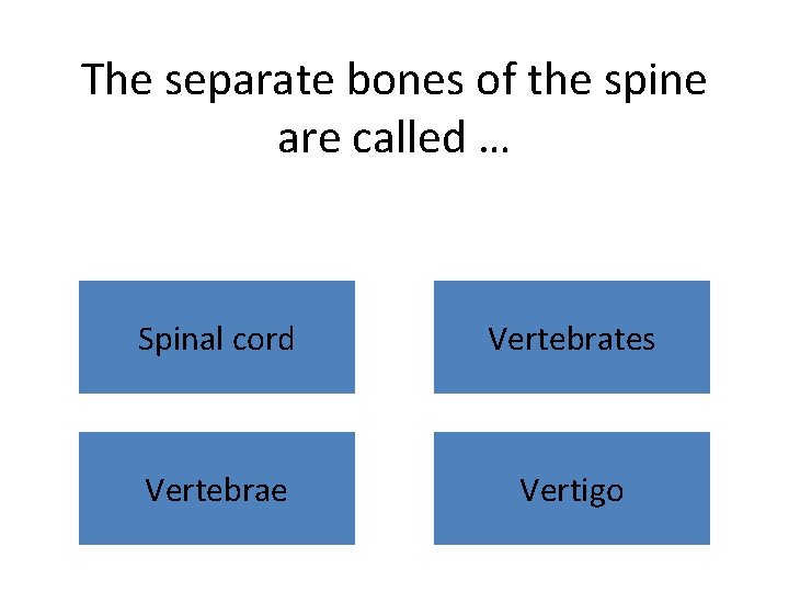 The separate bones of the spine are called … Spinal cord Vertebrates Vertebrae Vertigo