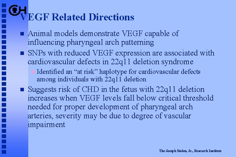 VEGF Related Directions Animal models demonstrate VEGF capable of influencing pharyngeal arch patterning SNPs