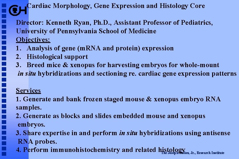 Cardiac Morphology, Gene Expression and Histology Core Director: Kenneth Ryan, Ph. D. , Assistant