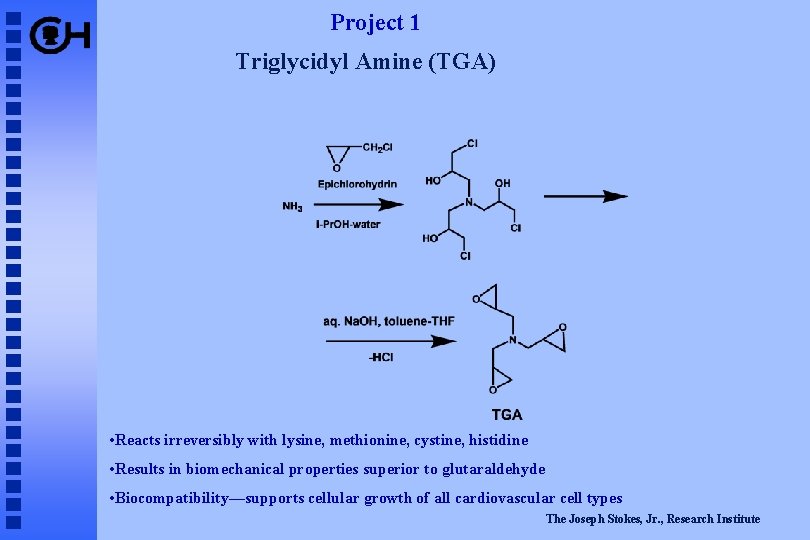 Project 1 Triglycidyl Amine (TGA) • Reacts irreversibly with lysine, methionine, cystine, histidine •