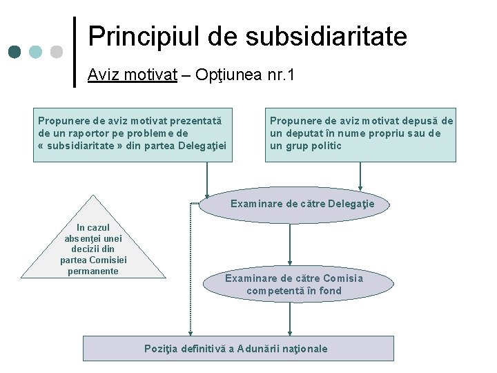 Principiul de subsidiaritate Aviz motivat – Opţiunea nr. 1 Propunere de aviz motivat prezentată