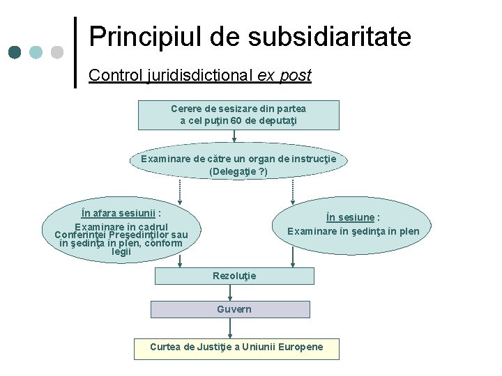 Principiul de subsidiaritate Control juridisdicţional ex post Cerere de sesizare din partea a cel