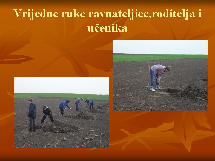 Vrijedne ruke ravnateljice, roditelja i učenika 