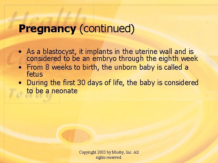 Pregnancy (continued) • As a blastocyst, it implants in the uterine wall and is