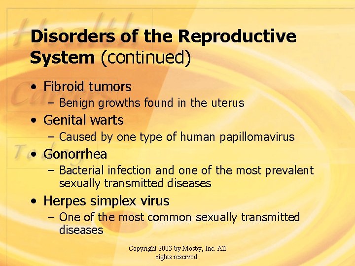 Disorders of the Reproductive System (continued) • Fibroid tumors – Benign growths found in