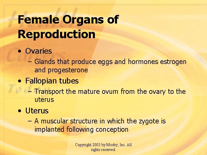 Female Organs of Reproduction • Ovaries – Glands that produce eggs and hormones estrogen