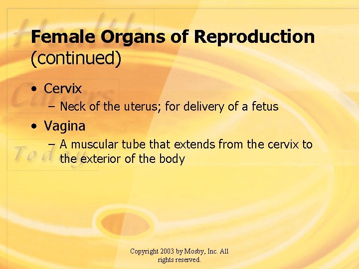 Female Organs of Reproduction (continued) • Cervix – Neck of the uterus; for delivery