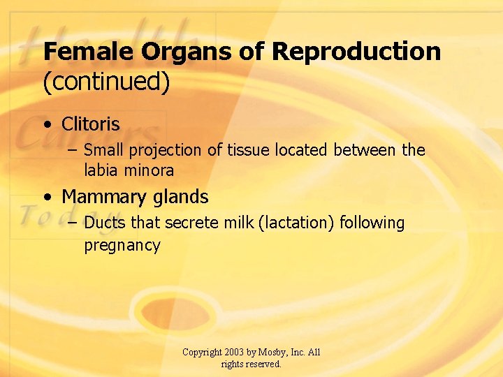 Female Organs of Reproduction (continued) • Clitoris – Small projection of tissue located between