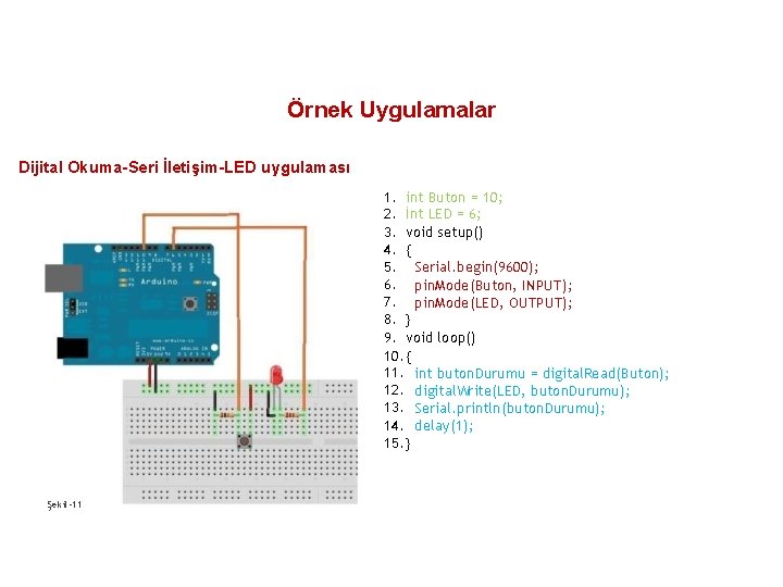 Örnek Uygulamalar Dijital Okuma-Seri İletişim-LED uygulaması 1. int Buton = 10; 2. İnt LED