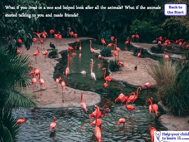 What if you lived in a zoo and helped look after all the animals?