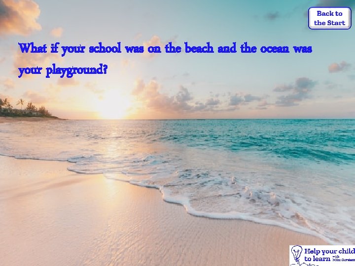 What if your school was on the beach and the ocean was your playground?