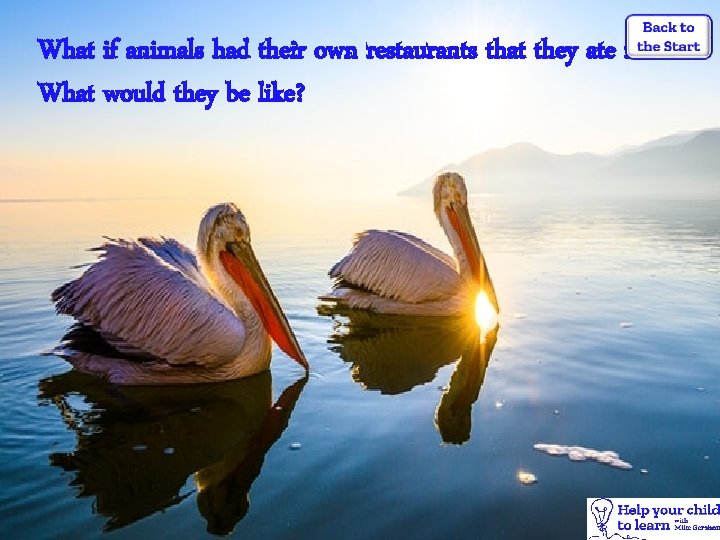 What if animals had their own restaurants that they ate in? What would they