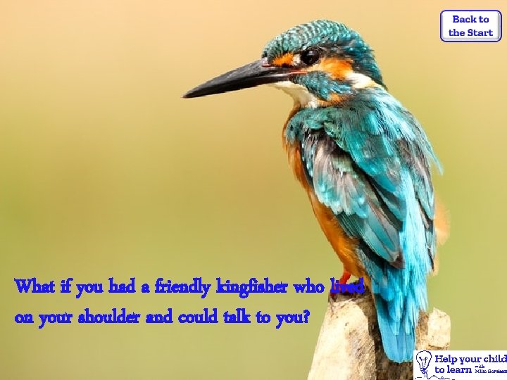 What if you had a friendly kingfisher who lived on your shoulder and could