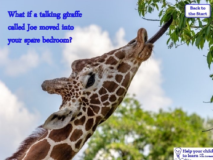 What if a talking giraffe called Joe moved into your spare bedroom? 